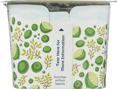 ICELANDIC PROVISIONS: Yogurt Key Lime Skyr, 5.3 oz