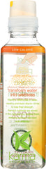 KARMA: Wellness Water Pineapple Coconut, 18 oz