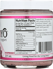 COCOYO: Raspberry Yogurt, 8 oz