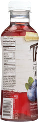 TREO: Organic Birch Water Infusion Blueberry, 16 oz