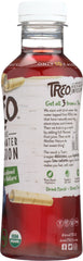 TREO: Organic Birch Water Infusion Blueberry, 16 oz