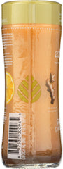 ARGO TEA: Green Tea Ginger Twist Bottled Tea, 13.5 fl oz