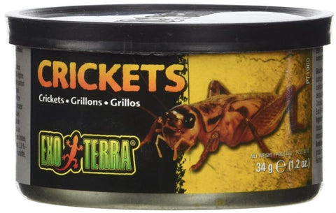 Exo Terra Canned Crickets Specialty Reptile Food