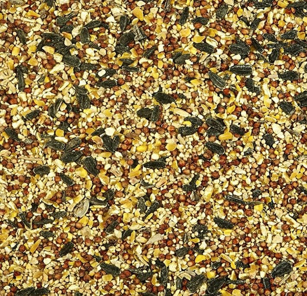 Kaytee Wild Bird Food Basic Blend With Grains And Black Oil Sunflower Seed