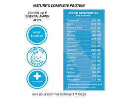 ICONIC: Powder Plant Protein Chocolate, 1 lb