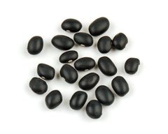 BULK BEAN: Black Turtle Organic, 25 lb