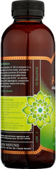 GTS LIVING FOODS: Alive Adaptogenic Tea Mate Mint, 16 oz