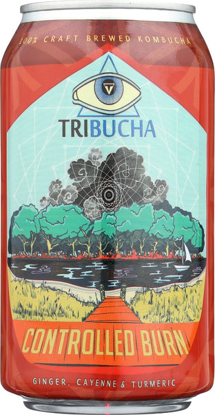 TRIBUCHA KOMBUCHA: Controlled Burn Ready to Drink Kombucha, 12 oz