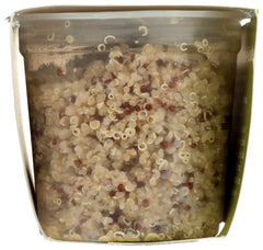 KITCHEN AND LOVE: Quinoa Bi Color Extra Virgin Olive Oil Garlic, 10.6 oz