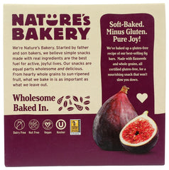 NATURES BAKERY: Bar Fig Gf 6Ct, 12 oz