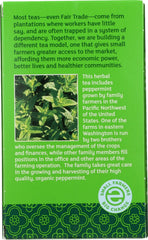 EQUAL EXCHANGE: Tea Peppermint Org, 20 bg