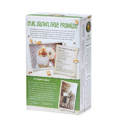 NATURES PATH: Gluten Free Spiced Apple with Flax Oatmeal, 11.3 oz